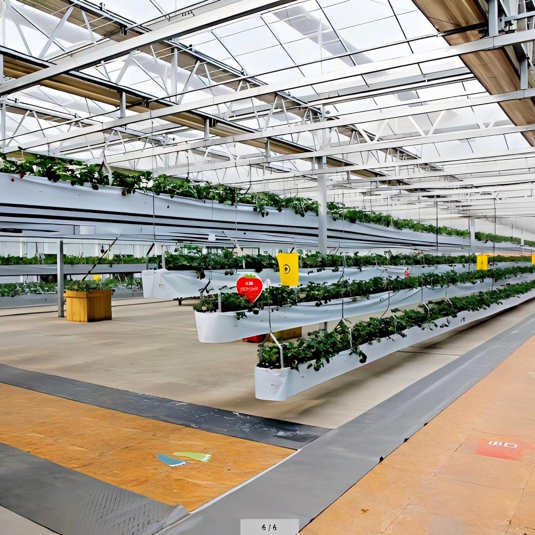 Seedling Production Greenhouse with Glass Panels